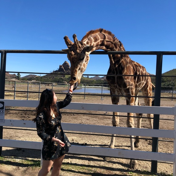 Meet the Posher Other - Meet your Posher, Meikei